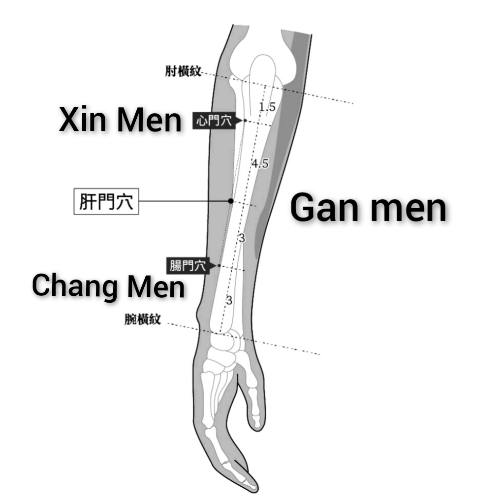 심문혈.jpg