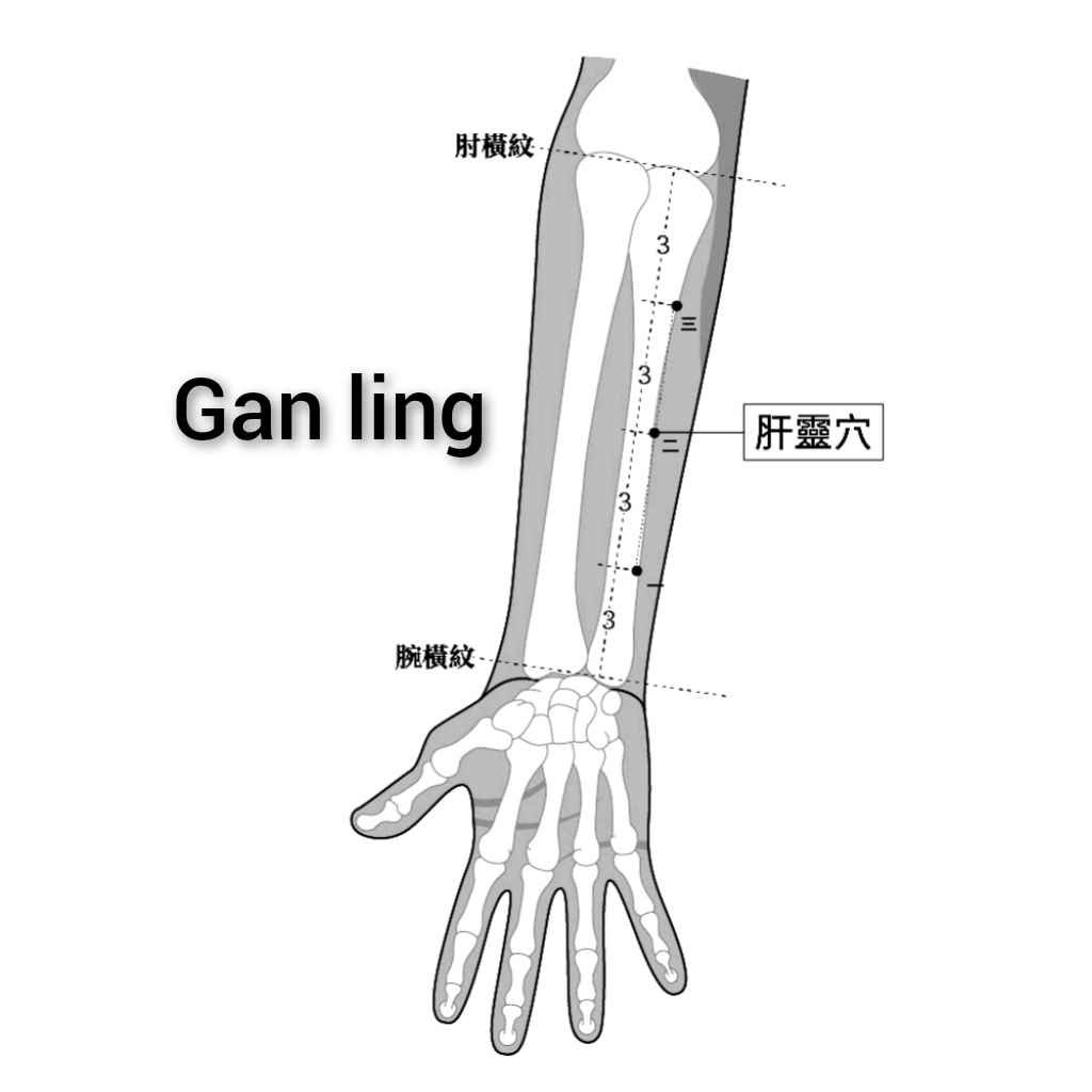 간령혈.jpg