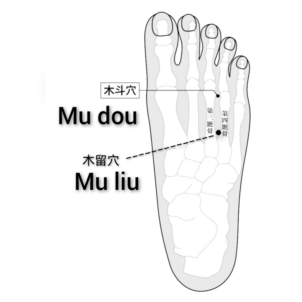 목두혈.jpg